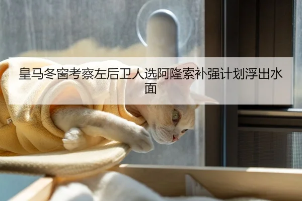 皇马冬窗考察左后卫人选阿隆索补强计划浮出水面